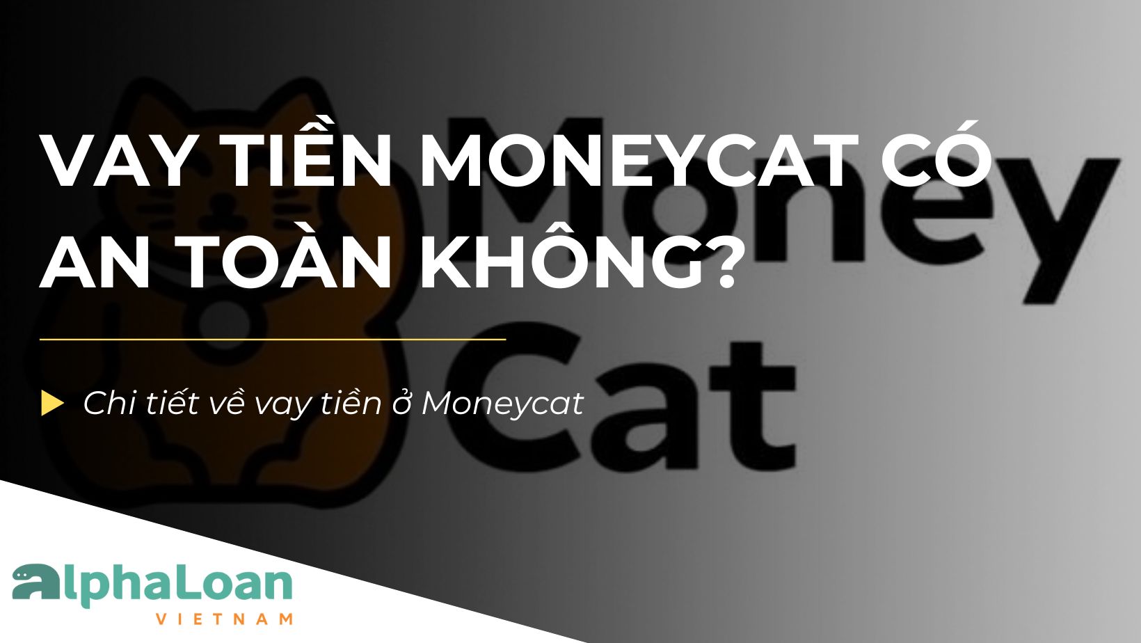 Vay Tiền Moneycat Có Uy Tín Không? Lưu ý khi vay tiền ở Moneycat
