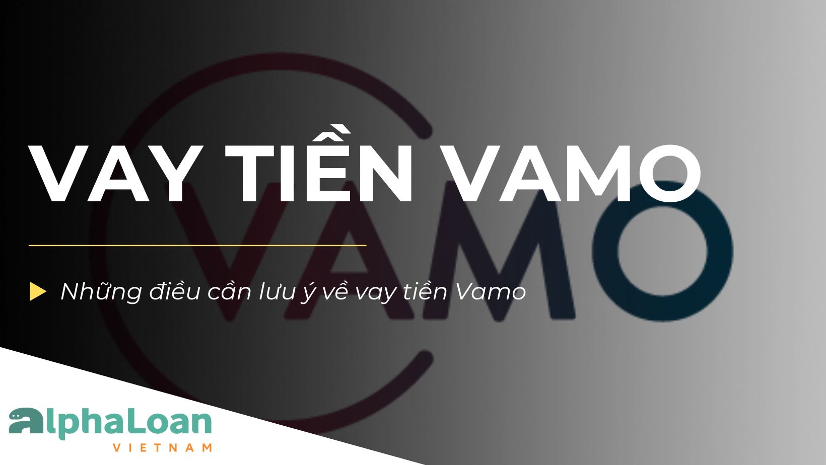 Có nên vay tiền Vamo không? Những điều bạn cần biết về Vamo