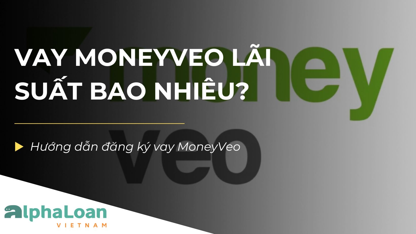 Vay MoneyVeo lãi suất bao nhiêu? Cách đăng ký vay MoneyVeo duyệt nhanh