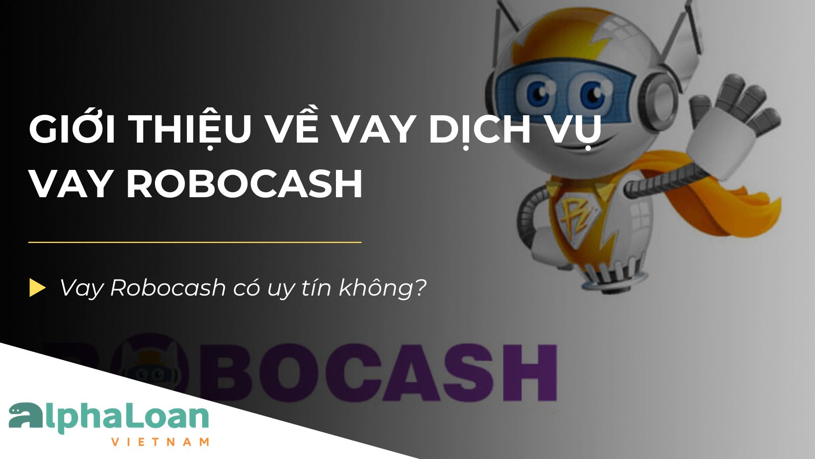 Tổng hợp thông tin về vay Robocash mới nhất 2025