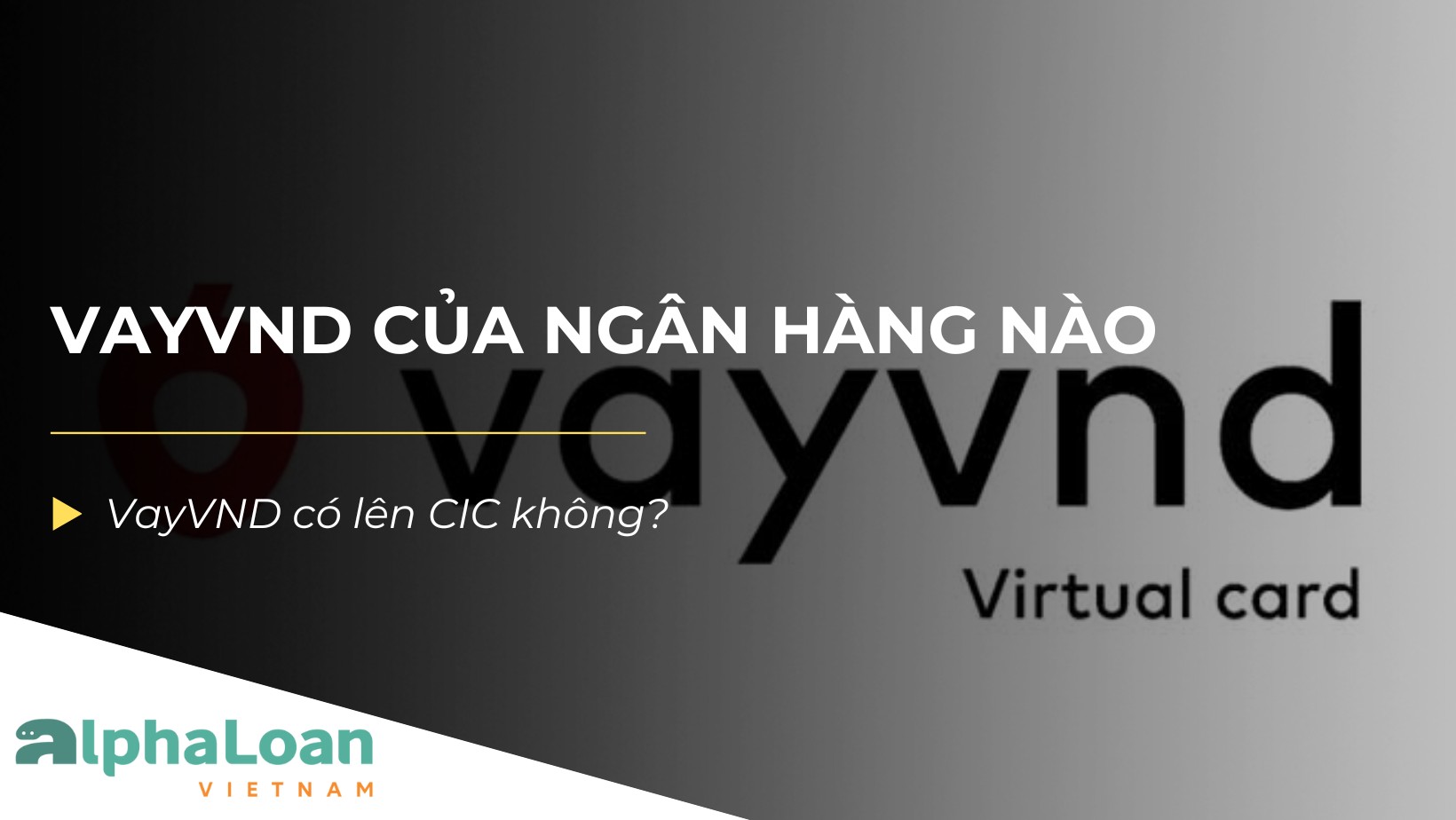 VayVND của ngân hàng nào? Có uy tín không?